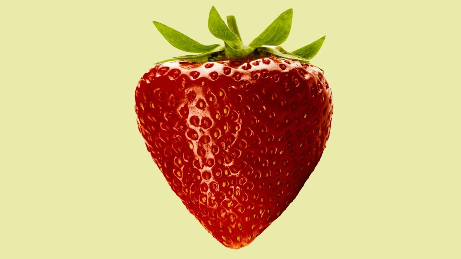 Открытие нового цеха сушки